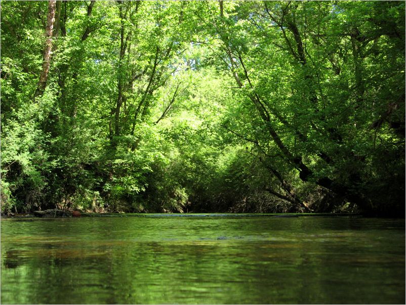 Green Canopy DeWane Stone